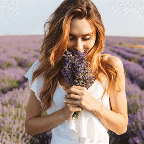 Fragrances & Ingredients